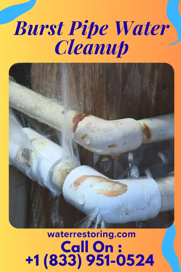 Burst Pipe Water Cleanup in McKinley, PA