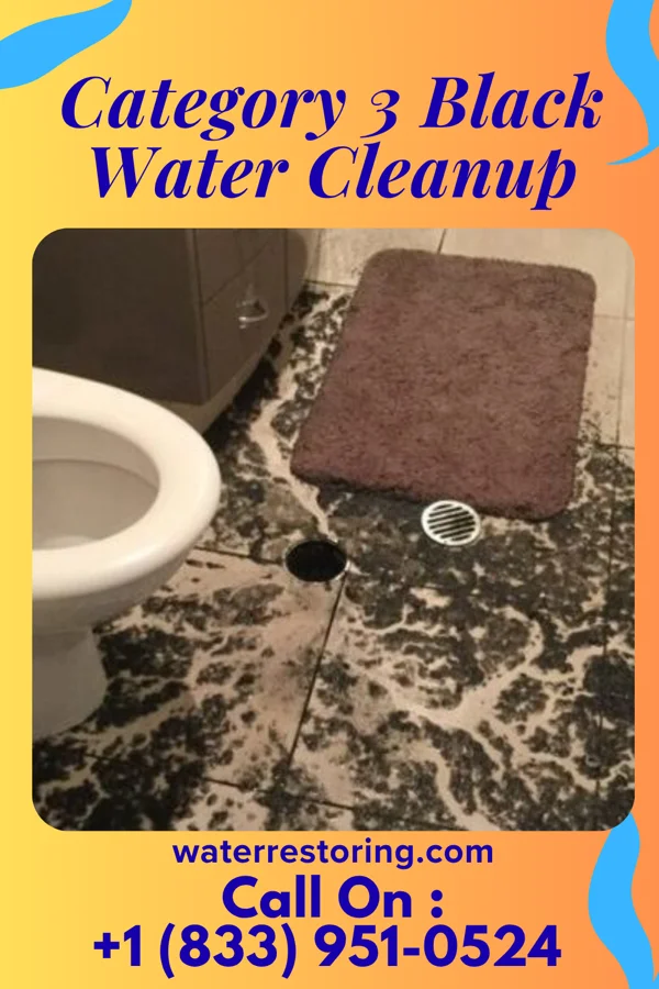 Category 3 Black Water Cleanup in McKinley, PA