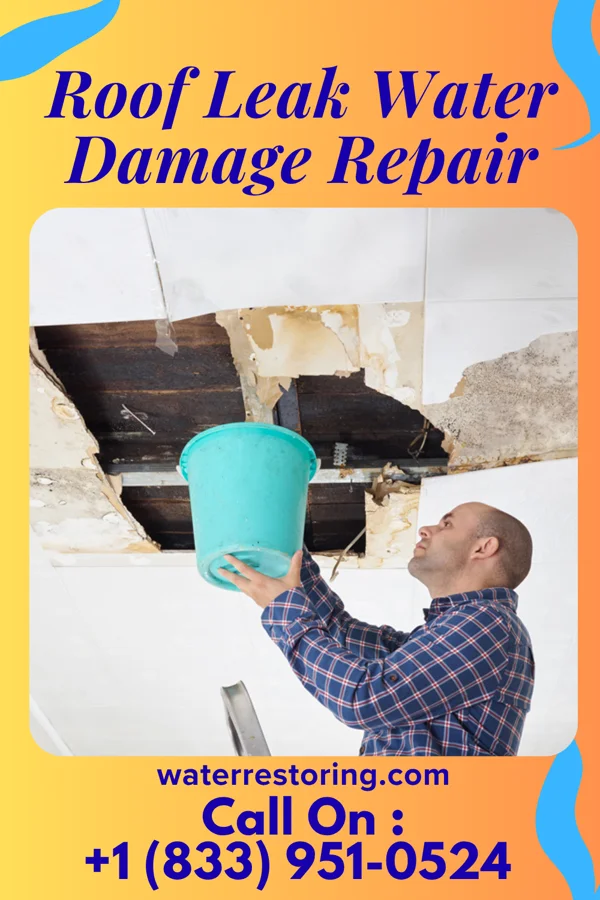Roof Leak Water Damage Repair in McKinley, PA