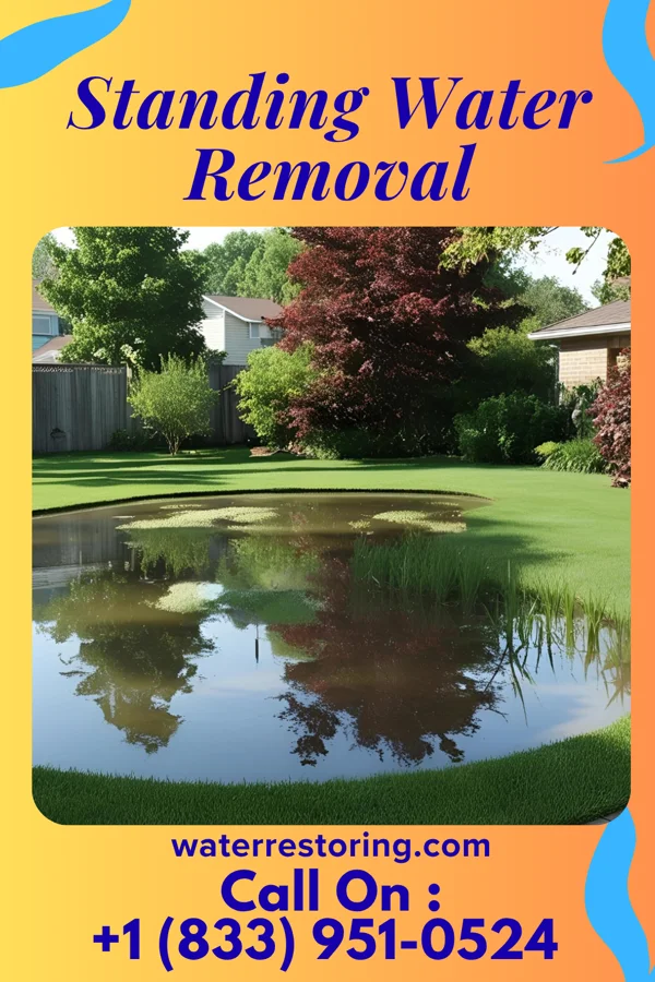 Standing Water Removal in McKinley, PA